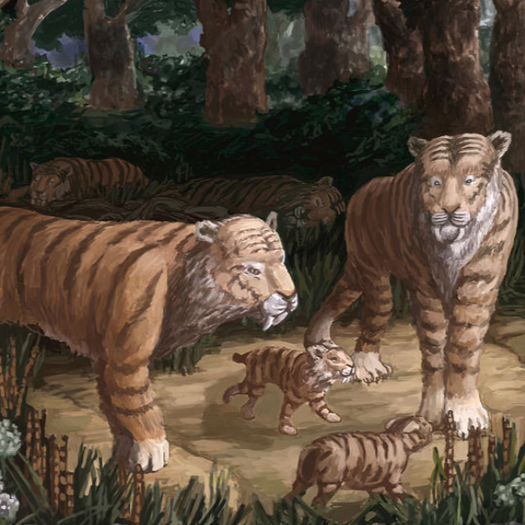 Sabre-Toothed Cat Family